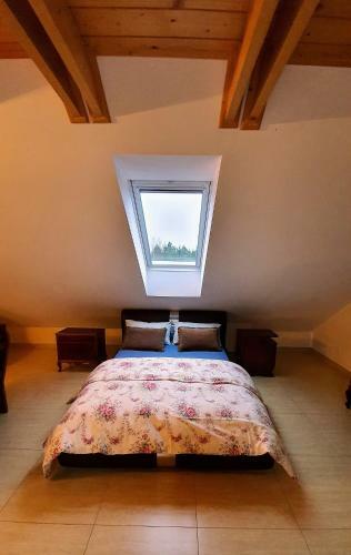 Apartament Sarna