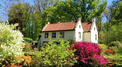 Villa Forestier - Gehele Woning!