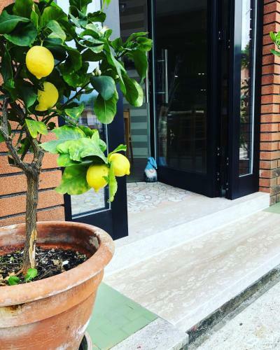 Hostal Caff� Martini