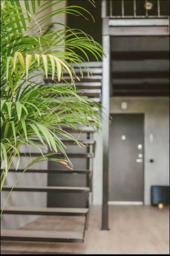 Apartamento Memel Loft