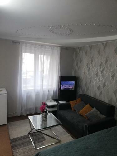 Apartment Orion