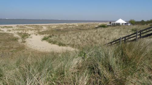 Park Schoneveld, Zeester 25