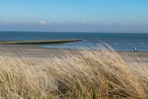 Park Schoneveld, Duinroos 123