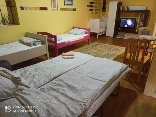 Hostal Micro Maxi House
