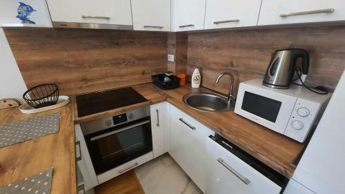 Two Bedroom Apartment Budva