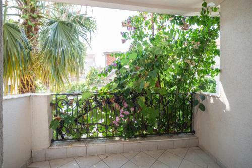 Apartmani Maine
