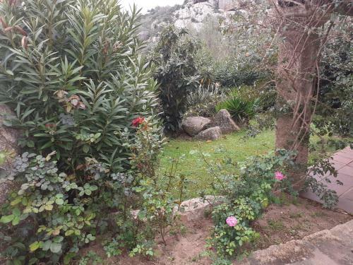 Apartamento Stazzzu Solianu