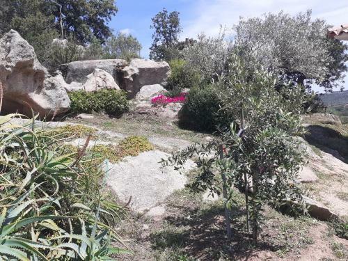 Apartamento Stazzzu Solianu