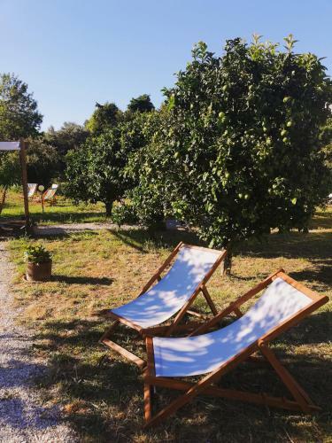 Quinta Do Marinheiro - Meco