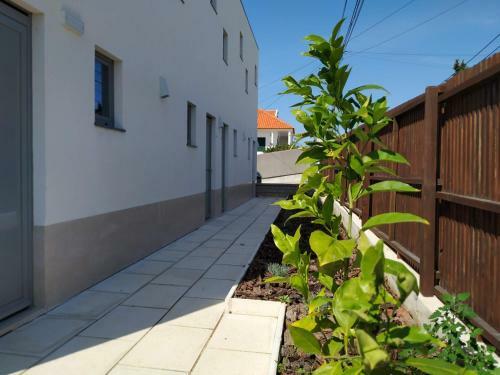 Bed & Breakfast Albergaria Da Tom�sia