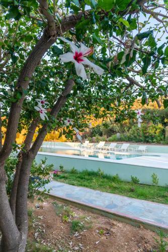 New - Villa Manika - 3br 3ba Pool