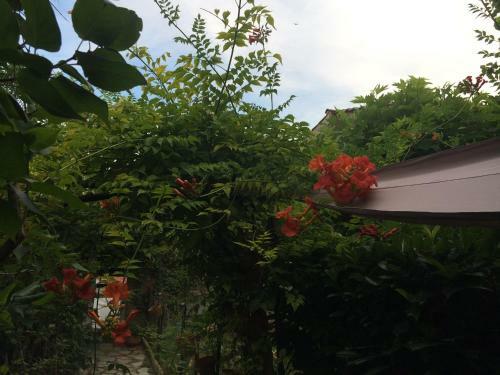Aniane Maison Renovee Avec Jardin Et Boulodrome