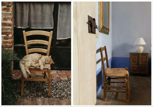 The Lazy Olive Villa - Podere Finerri