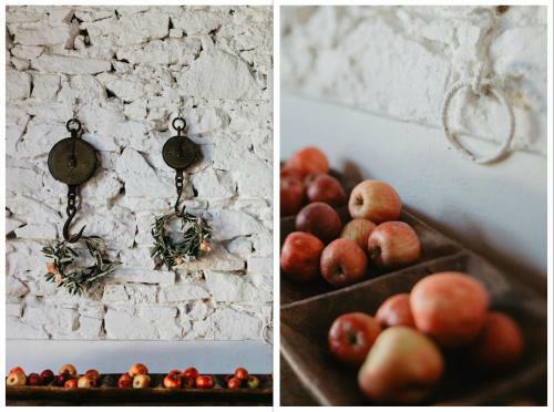 The Lazy Olive Villa - Podere Finerri