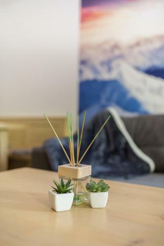 Peaceful Rogla Apartment