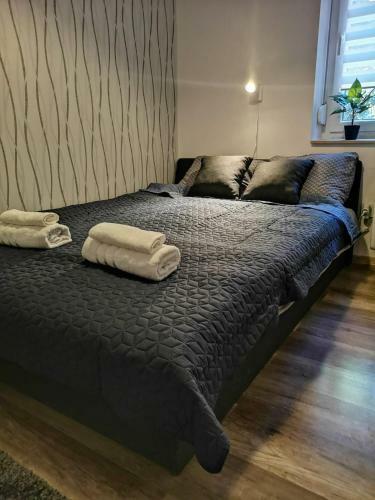 Central Home Apartment In The City Center