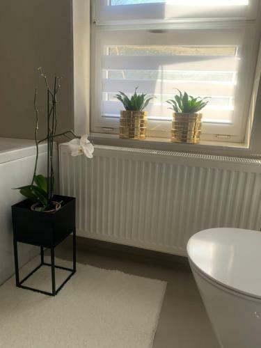 D&v Apartman