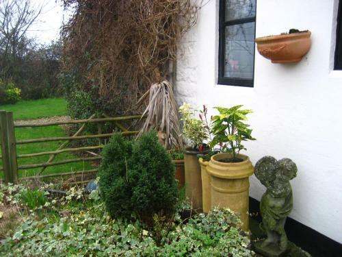 Bed & Breakfast Eastbrook Cottage