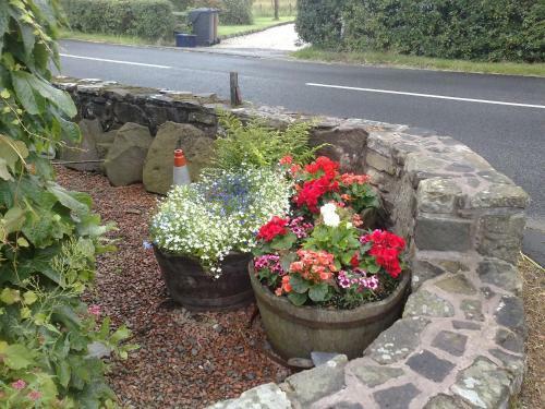Hostal Hillview Cottage