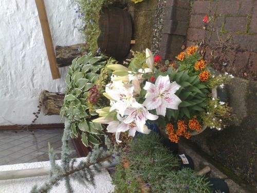 Hostal Hillview Cottage