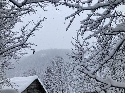 ???????? ???? ???????? - Lentekhi Mountain Inn