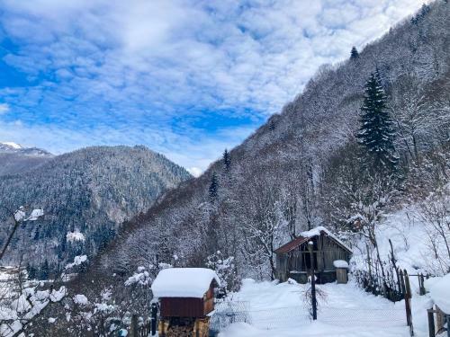 ???????? ???? ???????? - Lentekhi Mountain Inn