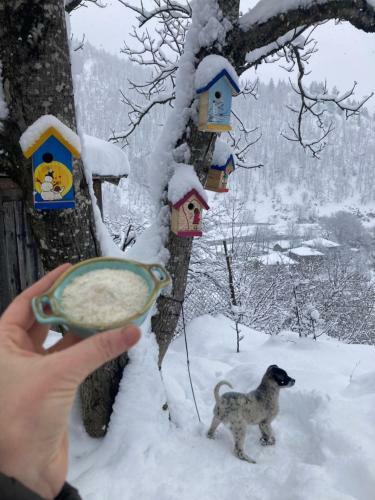 ???????? ???? ???????? - Lentekhi Mountain Inn