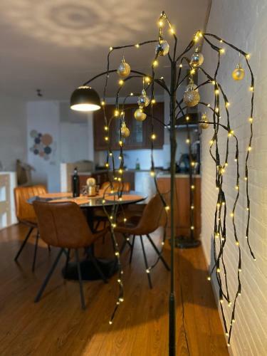 Ijsvogel Apartment
