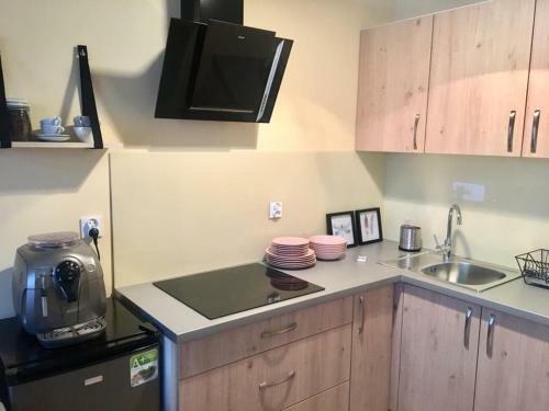 Apartamenty Bielsko Na Mickiewicza Bezobs?ugowy