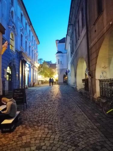 Apartamenty Bielsko Na Mickiewicza Bezobs?ugowy