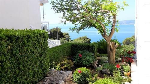 Hostal Guest House Fenix Brela