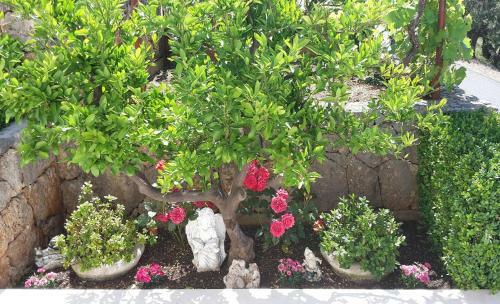 Hostal Guest House Fenix Brela
