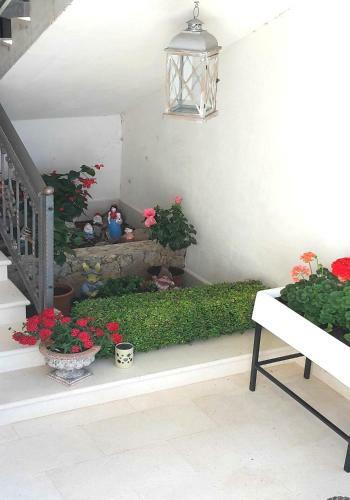 Hostal Guest House Fenix Brela