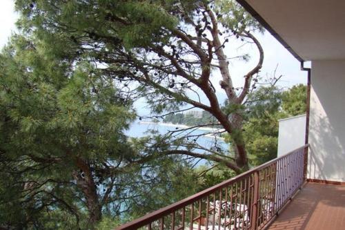 Apartments By The Sea Brela, Makarska - 16950