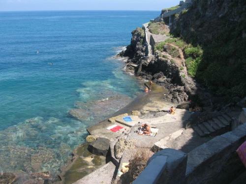 Costa Saracena Reysol