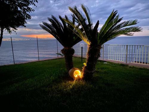 Villa Vela