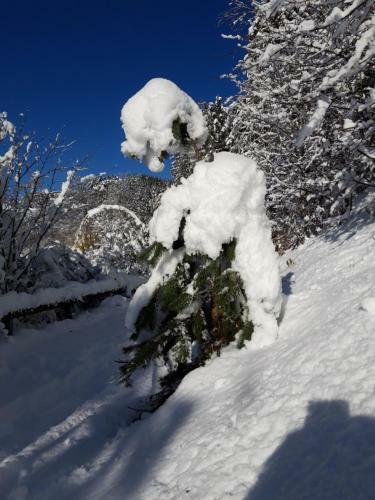 Apartamento Dolomiti