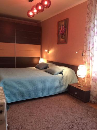 Apartment In Center