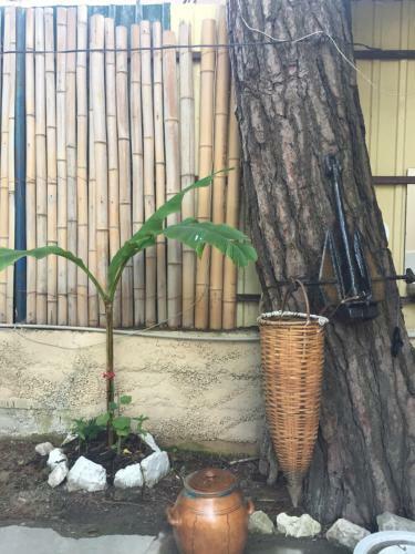 Hostal Guest House Oazis