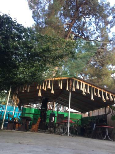 Hostal Guest House Oazis