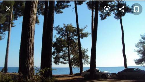 Apartamento ????? 15
