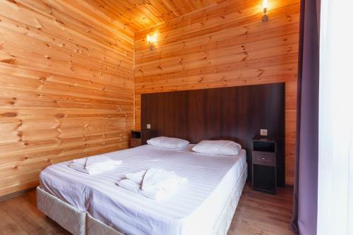 Hotel Amshin-pitsunda