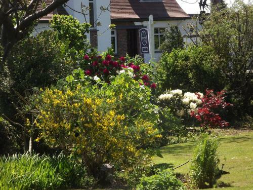 Hostal Hillcrest House