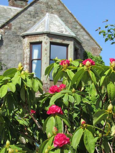 Hostal Hillcrest House