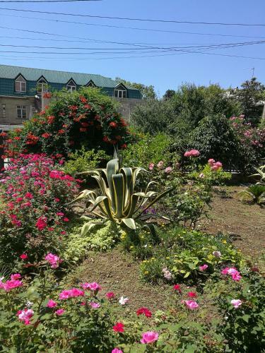 Hostal Guest House Villa Roza