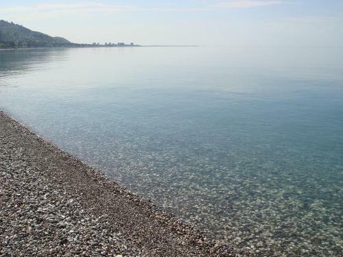 Hotel Continent Gagra