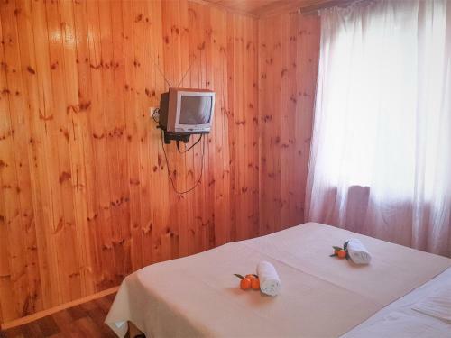 Hostal Fiesta Sea