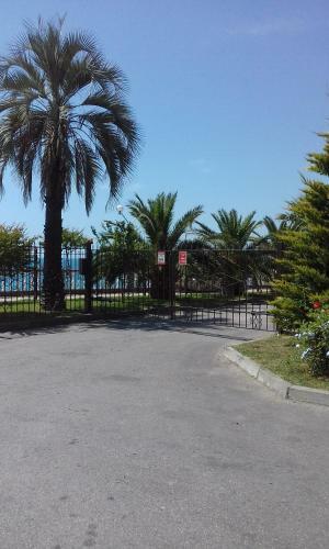 Apartment U Morya