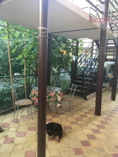Hostal Davido Hotel