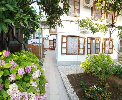 Hostal Guest House Nikolay